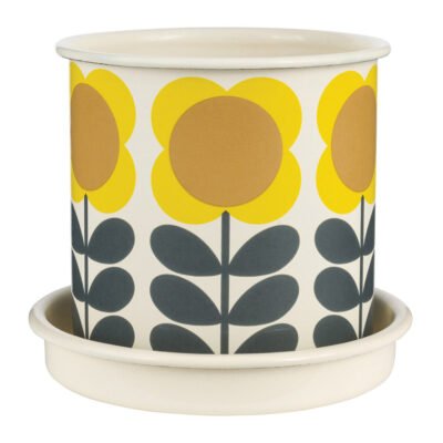 Spot Flower Plant Pot